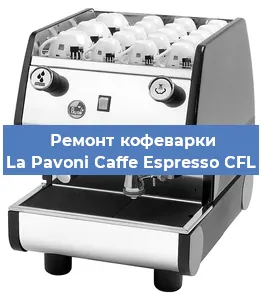 Чистка кофемашины La Pavoni Caffe Espresso CFL от накипи в Ростове-на-Дону